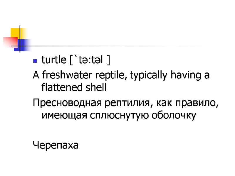 turtle [`tə:təl ]  A freshwater reptile, typically having a flattened shell Пресноводная рептилия,